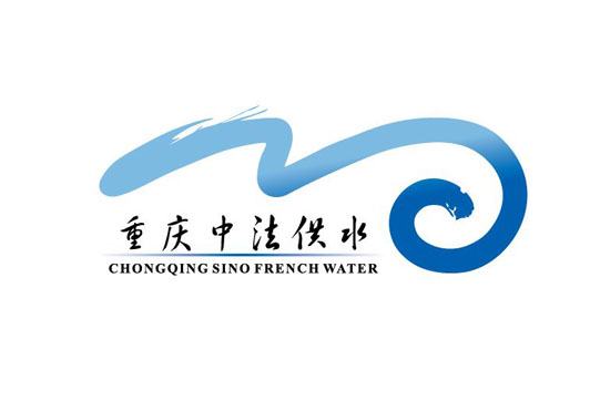 重庆中法供水不锈钢可曲挠橡胶接头项目案例