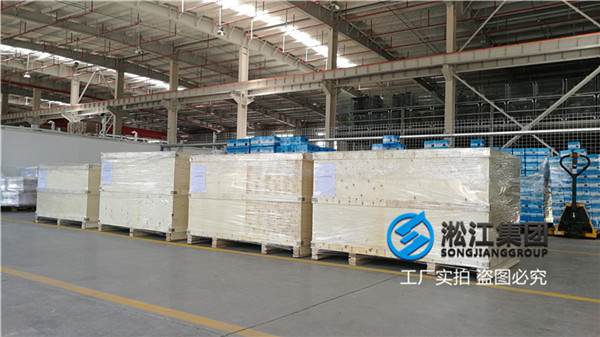 PAM传输泵进口用法兰橡胶软接头